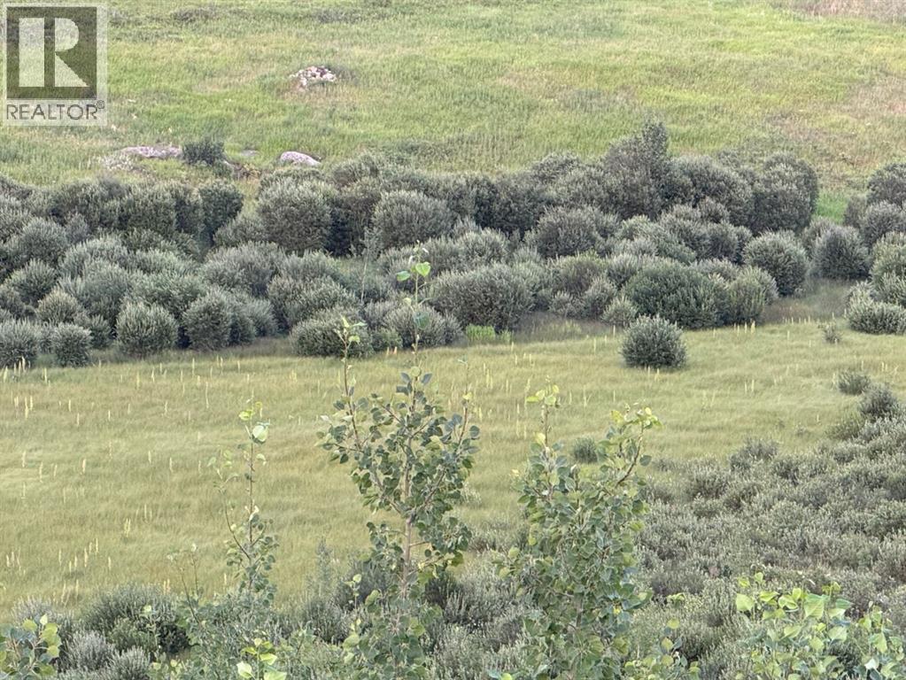 If you can zoom in, you can see east boundary stakes in front of bush