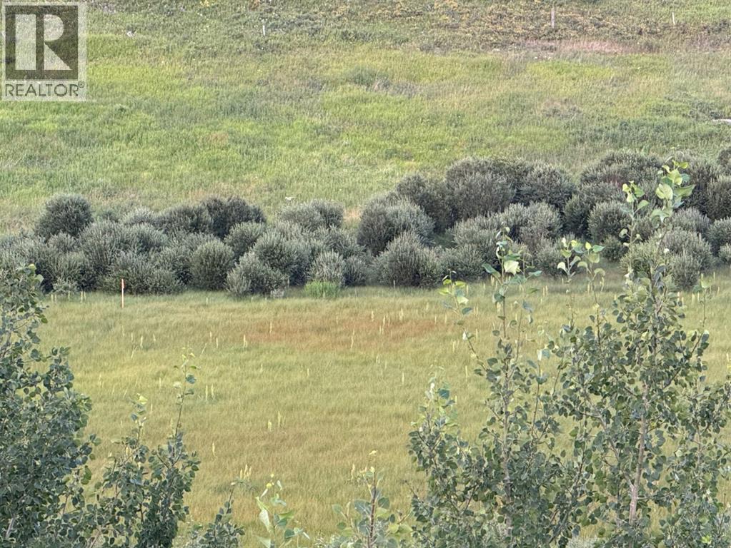 Bottom land with spring and creek