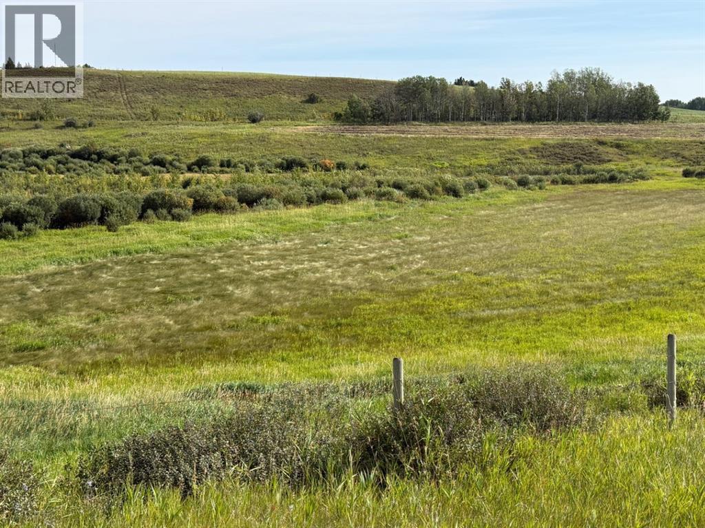 Bottom land north of road
