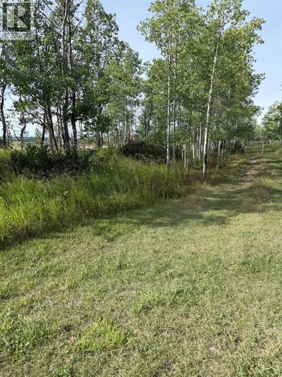 33042 Township Rd 284, Rural Rocky View County, Alberta  T0M 1L0 - Photo 13 - A2337835