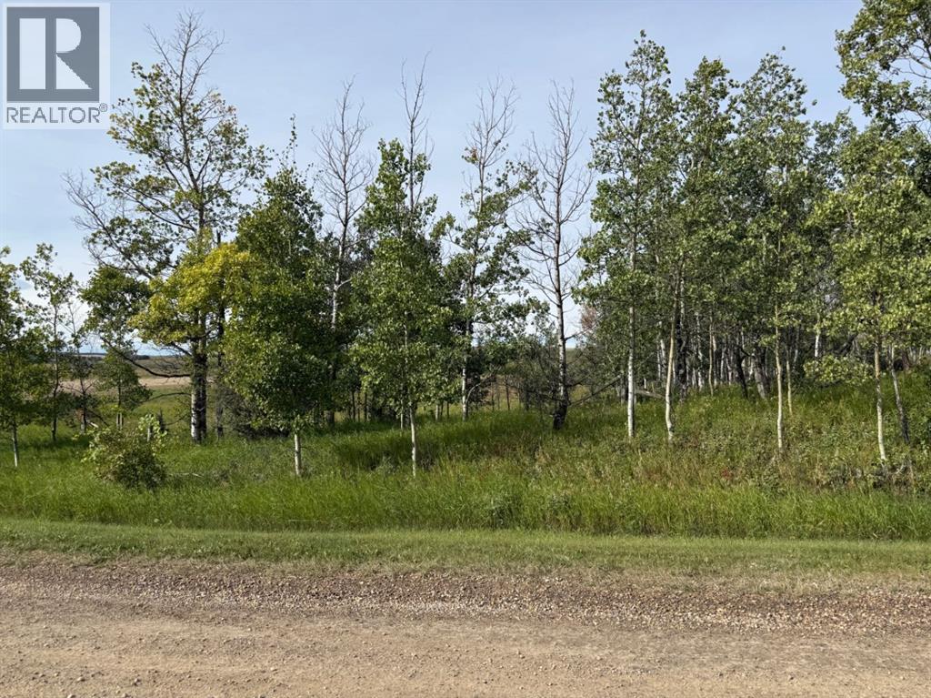 33042 Township Rd 284, Rural Rocky View County, Alberta  T0M 1L0 - Photo 14 - A2337835