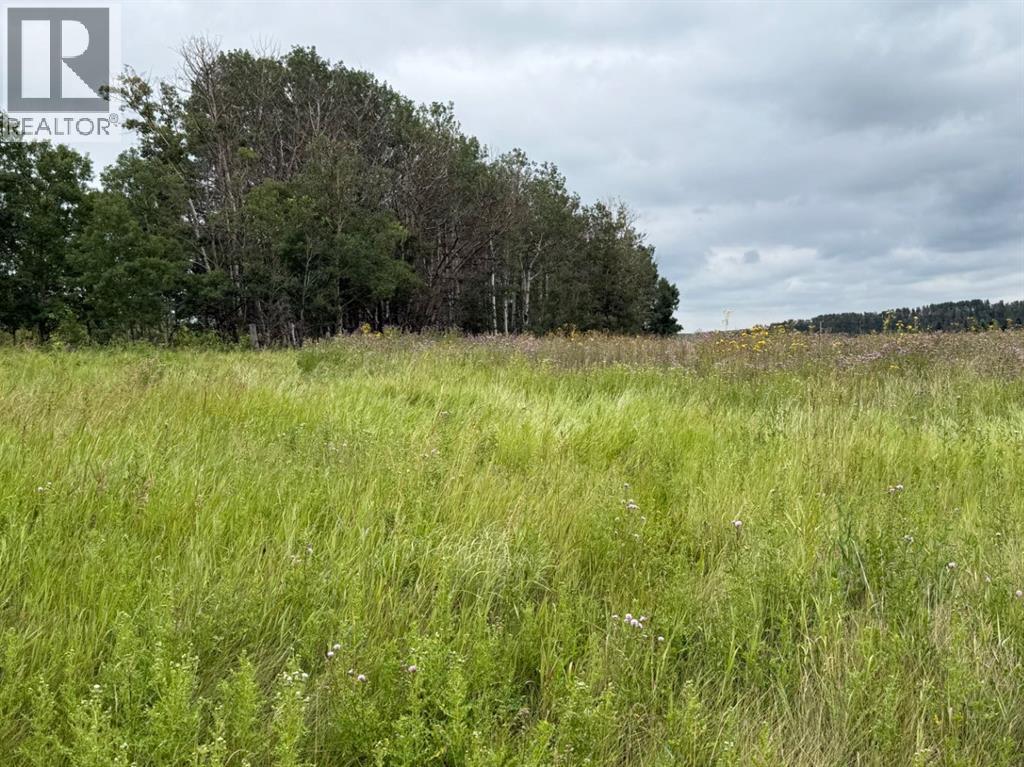 33042 Township Rd 284, Rural Rocky View County, Alberta  T0M 1L0 - Photo 20 - A2337835
