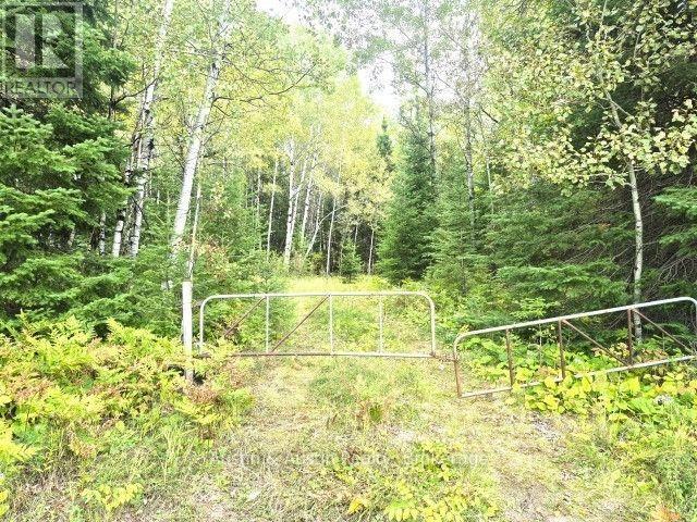 77 Bedworth Road, Dryden, Ontario  P8N 0A2 - Photo 34 - X13818986