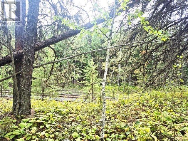 77 Bedworth Road, Dryden, Ontario  P8N 0A2 - Photo 35 - X13818986