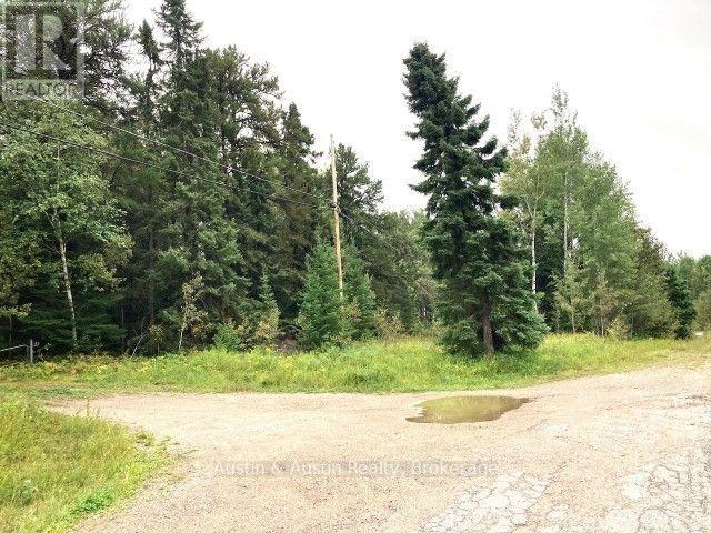 77 Bedworth Road, Dryden, Ontario  P8N 0A2 - Photo 37 - X13818986