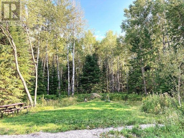 77 Bedworth Road, Dryden, Ontario  P8N 0A2 - Photo 38 - X13818986