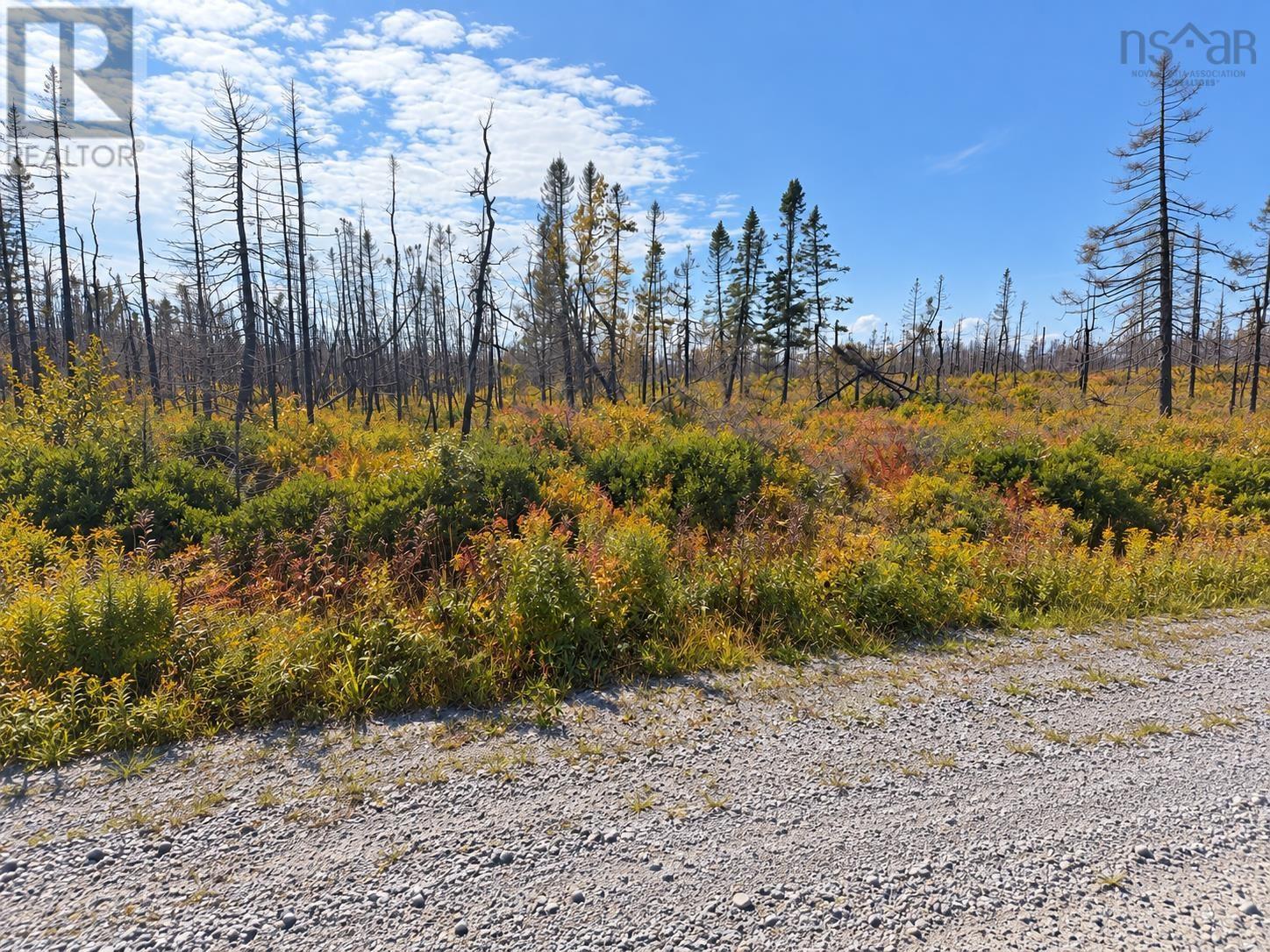 Lot M-5 West Sable Road, Little Harbour, Nova Scotia  B0T 1V0 - Photo 6 - 202622415