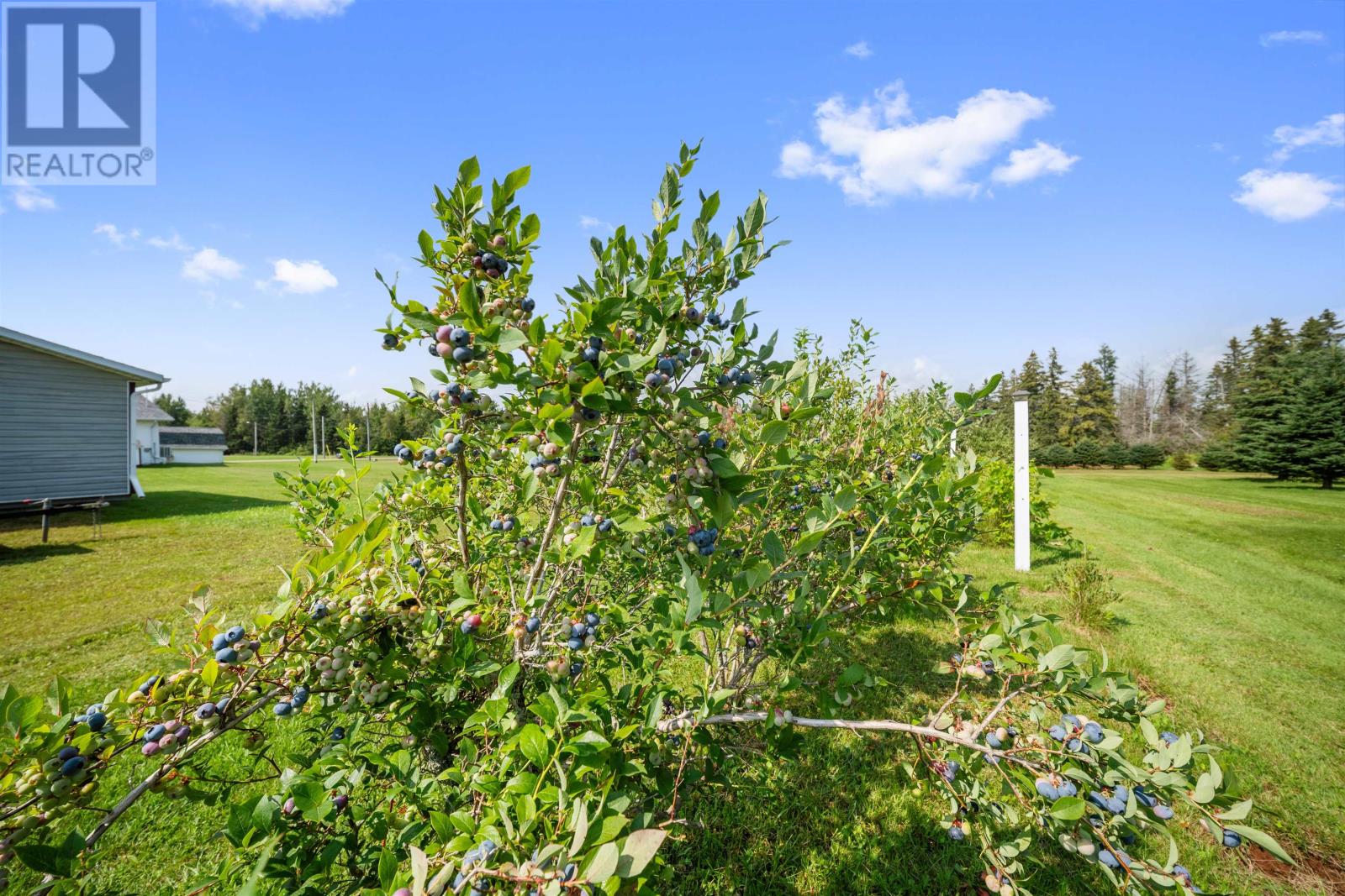 423 Mont Carmel Road, St. Raphael, Prince Edward Island  C0B 2E0 - Photo 46 - 202624079