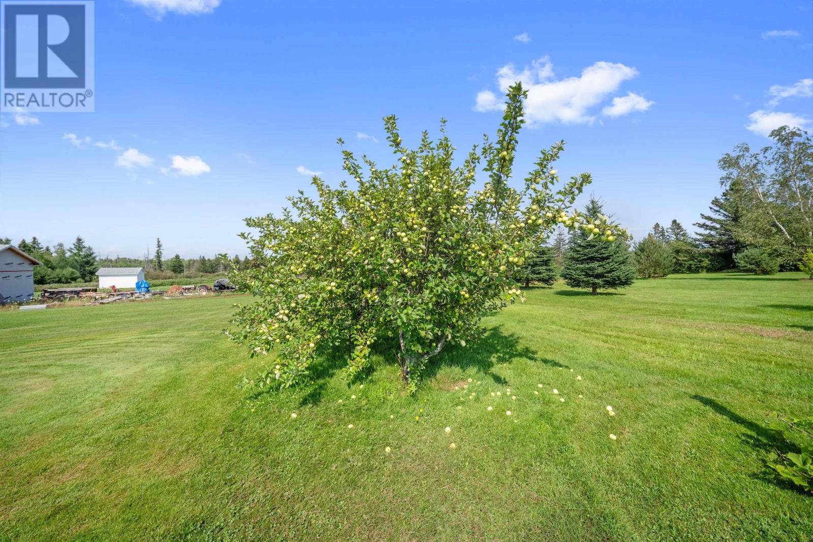 423 Mont Carmel Road, St. Raphael, Prince Edward Island  C0B 2E0 - Photo 47 - 202624079