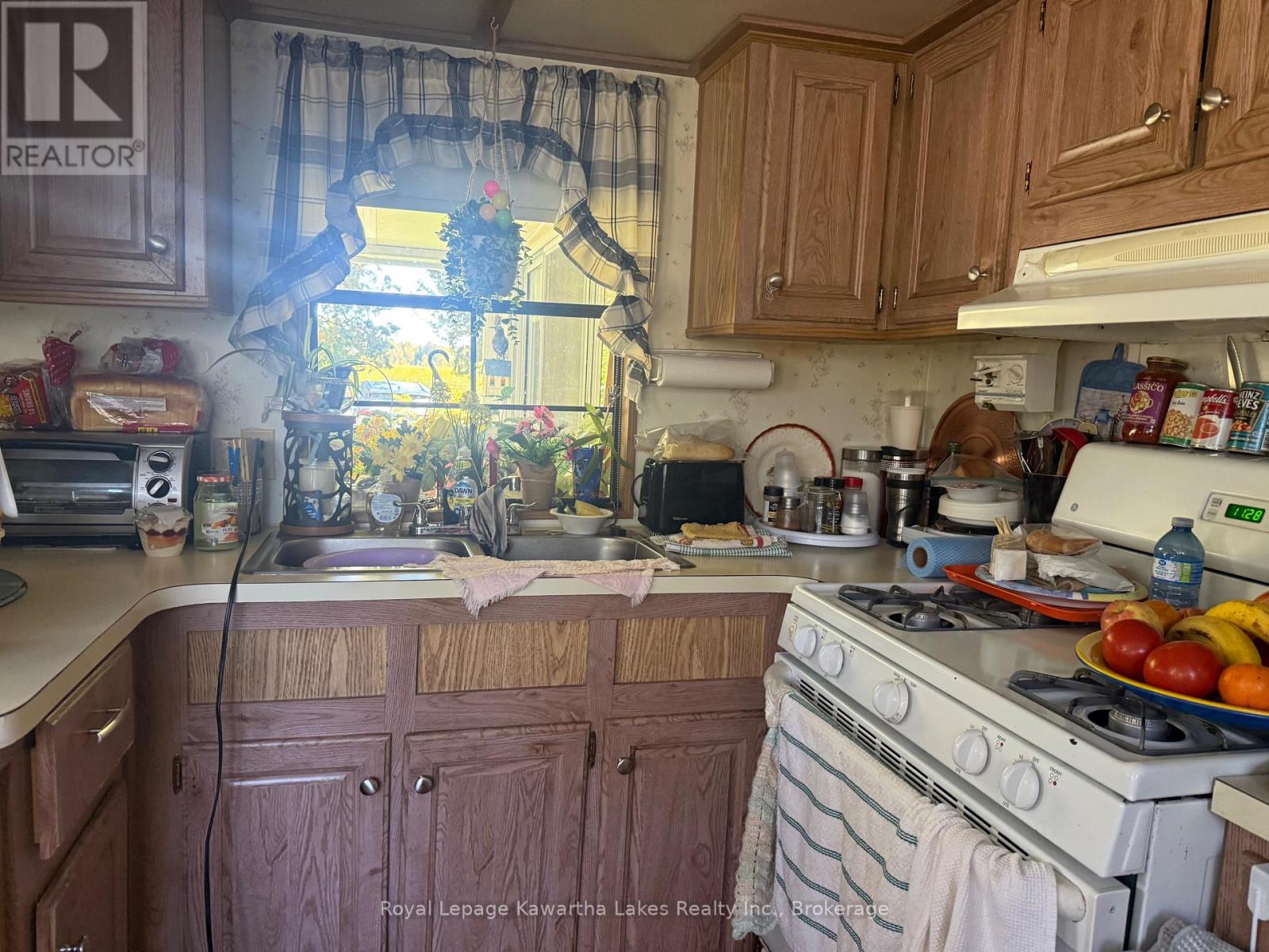 2152 County Rd 36 Road, Kawartha Lakes, Ontario  K0M 1L0 - Photo 4 - X13819640