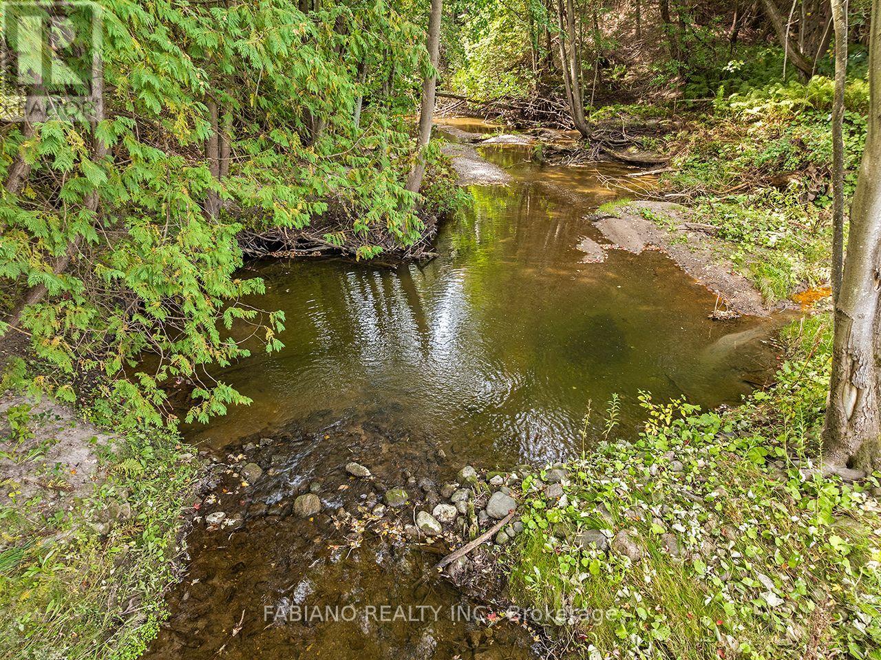 4767 14th Line, New Tecumseth, Ontario  L0L 1L0 - Photo 48 - N13819412