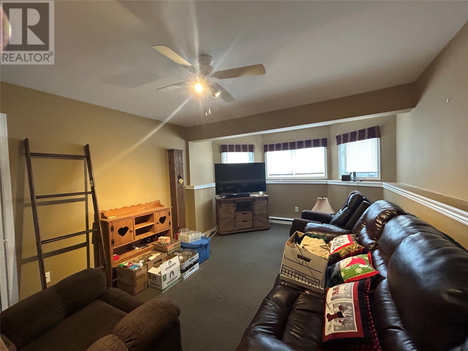 30 Snow Crescent, Grand Falls- Windsor, Newfoundland & Labrador  A2B 1C7 - Photo 38 - 1303559