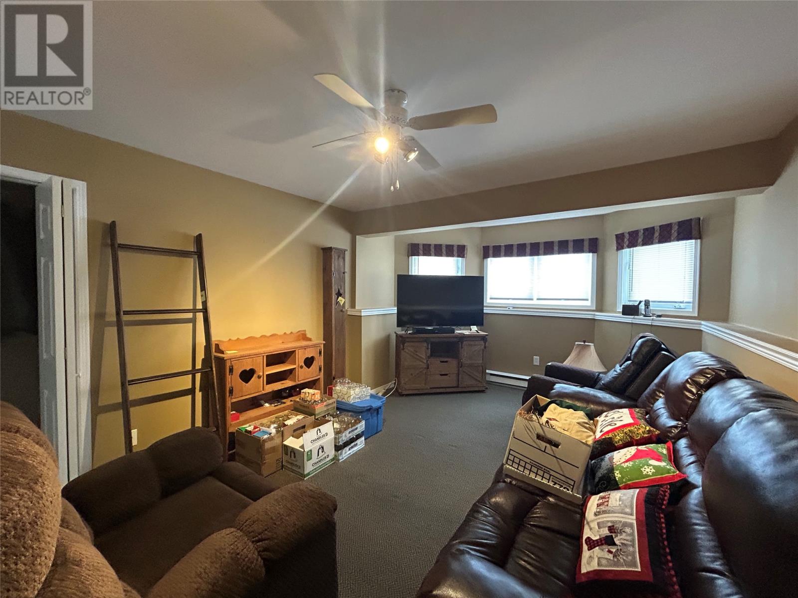 30 Snow Crescent, Grand Falls- Windsor, Newfoundland & Labrador  A2B 1C7 - Photo 39 - 1303559