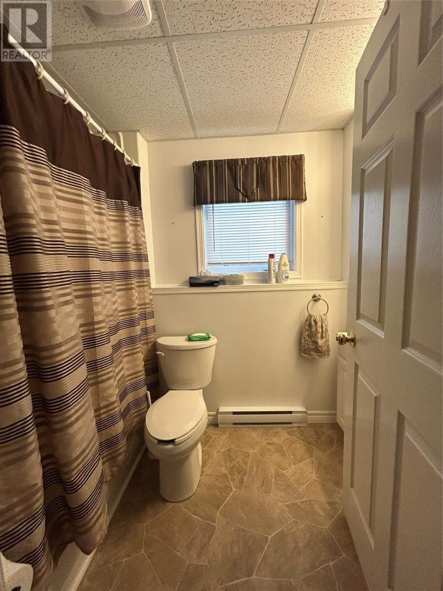 30 Snow Crescent, Grand Falls- Windsor, Newfoundland & Labrador  A2B 1C7 - Photo 43 - 1303559