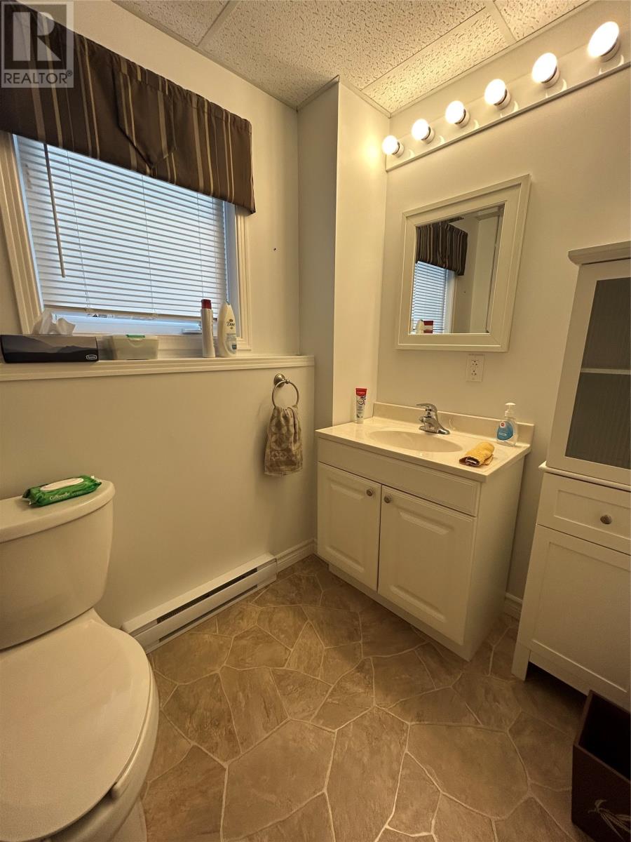 30 Snow Crescent, Grand Falls- Windsor, Newfoundland & Labrador  A2B 1C7 - Photo 44 - 1303559