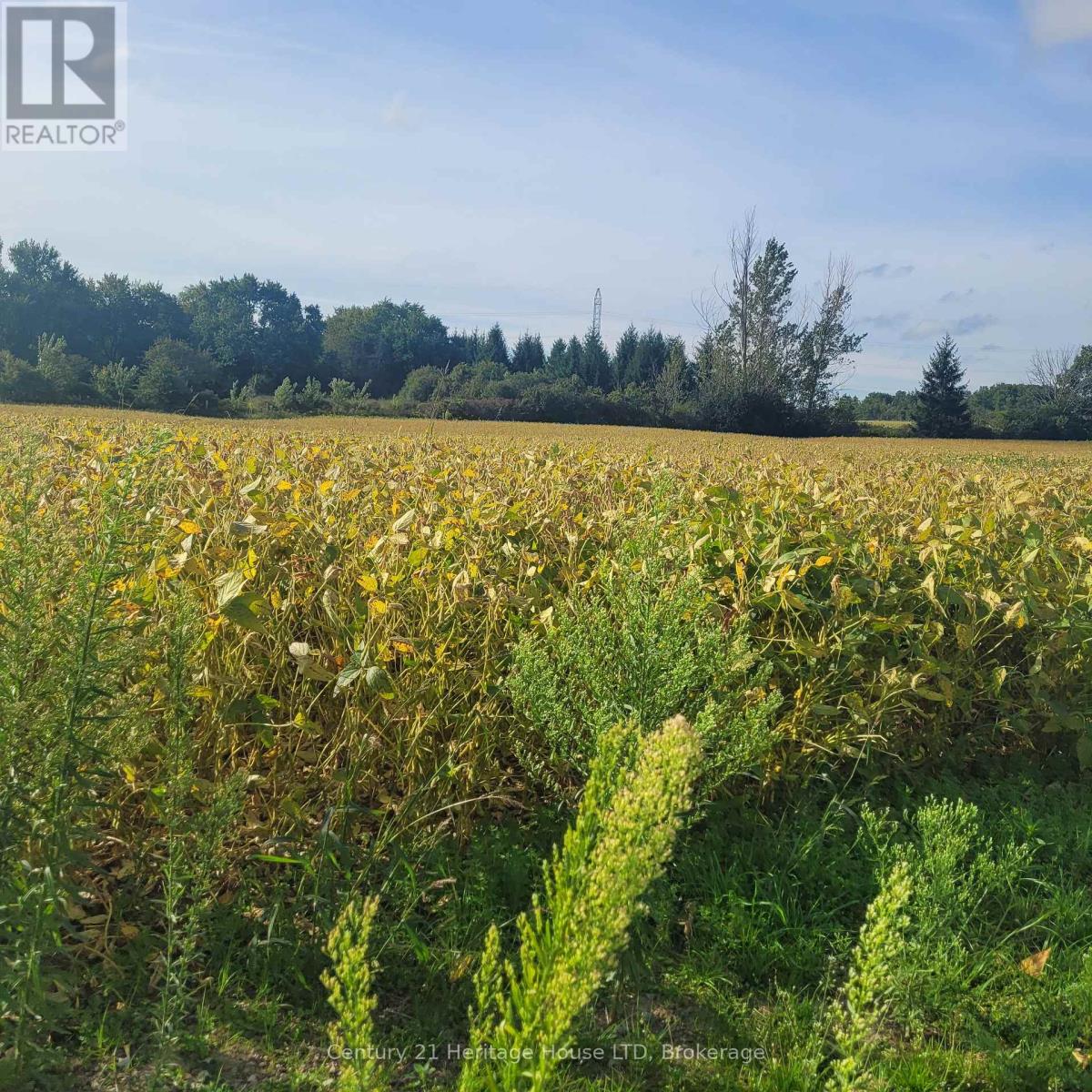 2361 Merrittville Highway, Thorold, Ontario  L0S 1E6 - Photo 3 - X13820044