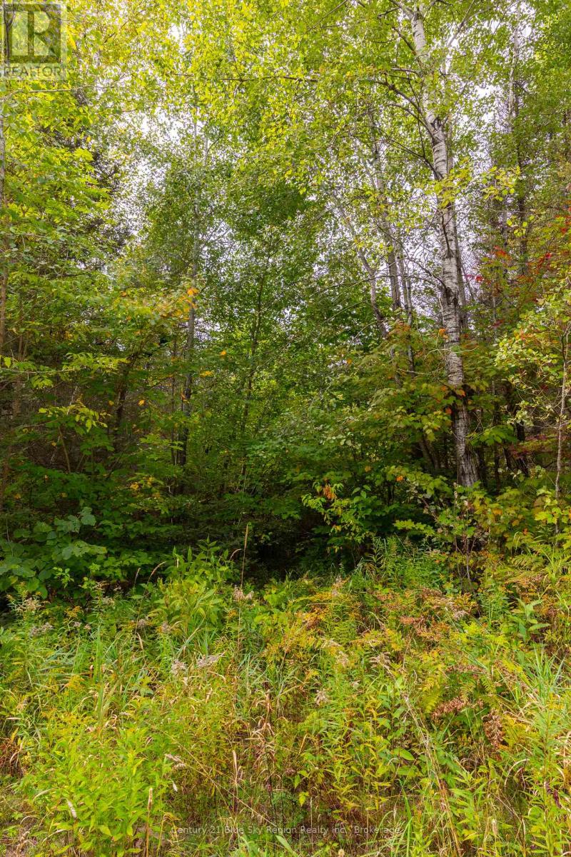 487 Golf Course Road, Chisholm, Ontario  P0H 1Z0 - Photo 8 - X13819988