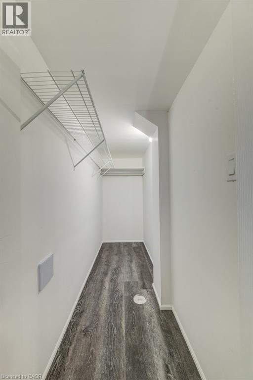 Walk-in closet with wood-finish flooring, white walls, and wire shelving system