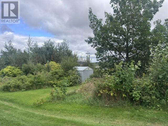 156a Main Street, Glovertown, Newfoundland & Labrador  A0G 2L0 - Photo 2 - 1303584