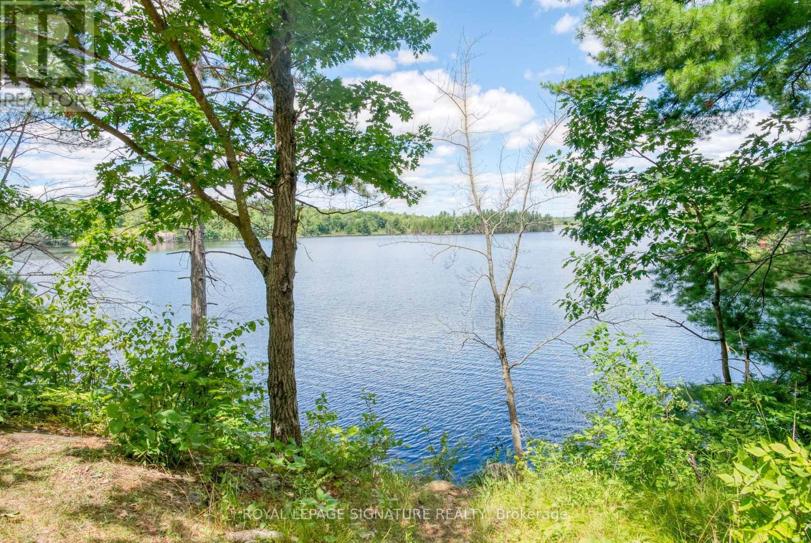 1841 Fifth Lake Road, Central Frontenac, Ontario  K0H 2K0 - Photo 14 - X13820038