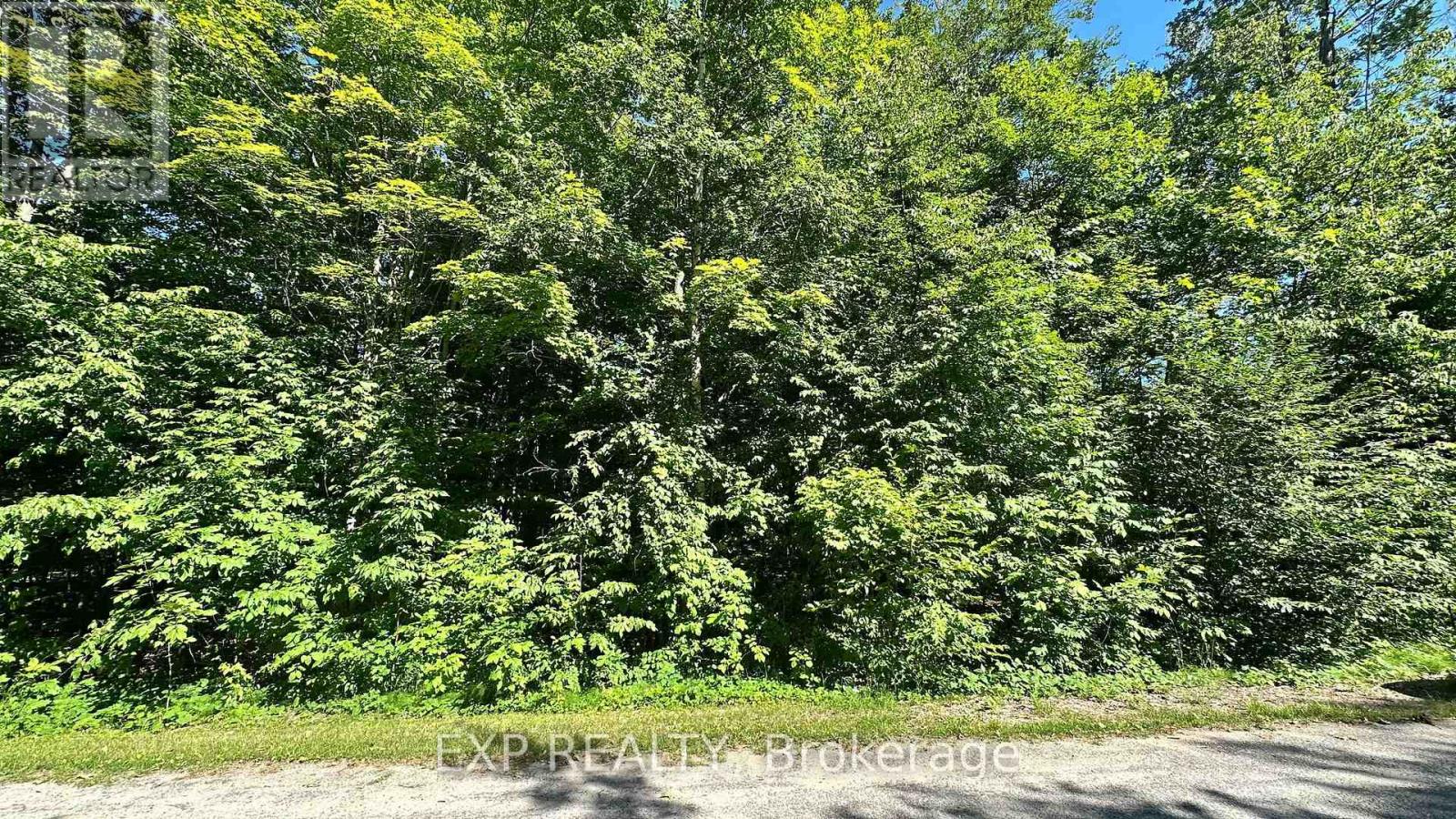 Lot 18 Mulberry Court, Tiny, Ontario  L9M 0H8 - Photo 6 - S12600518