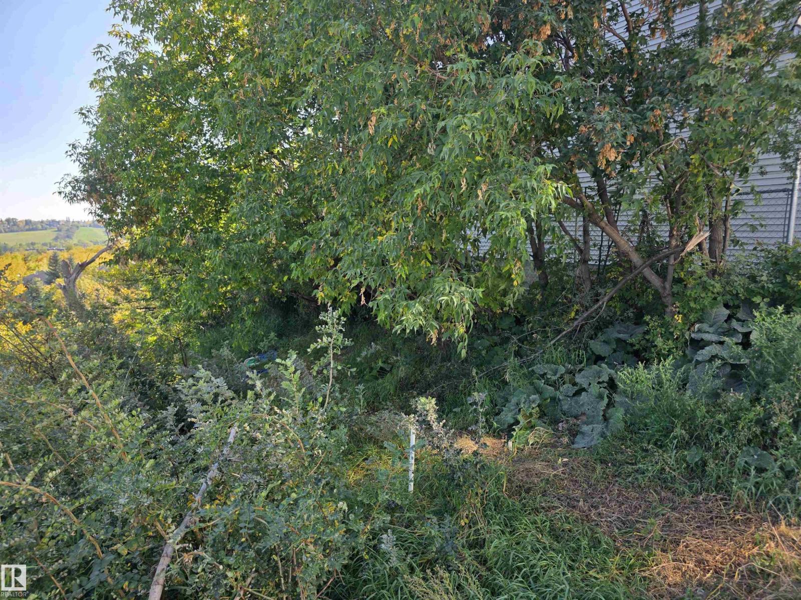 9321 101A AV NW
