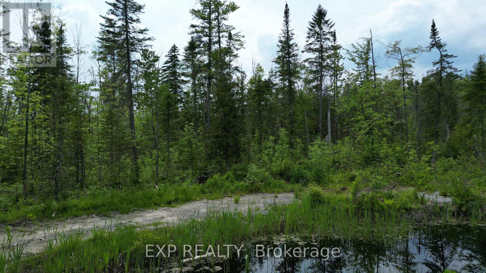 3248 Monck Road, Kawartha Lakes, Ontario  K0M 2T0 - Photo 27 - X13480756