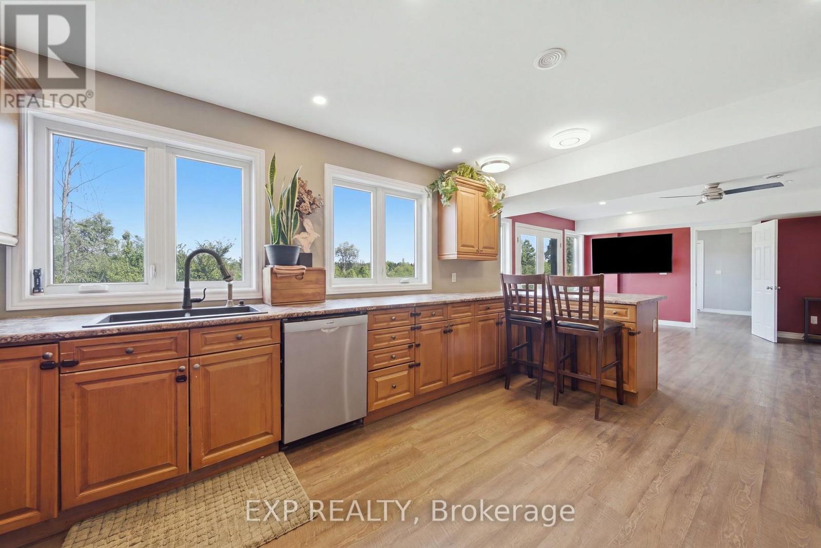 Lower level second kitchen