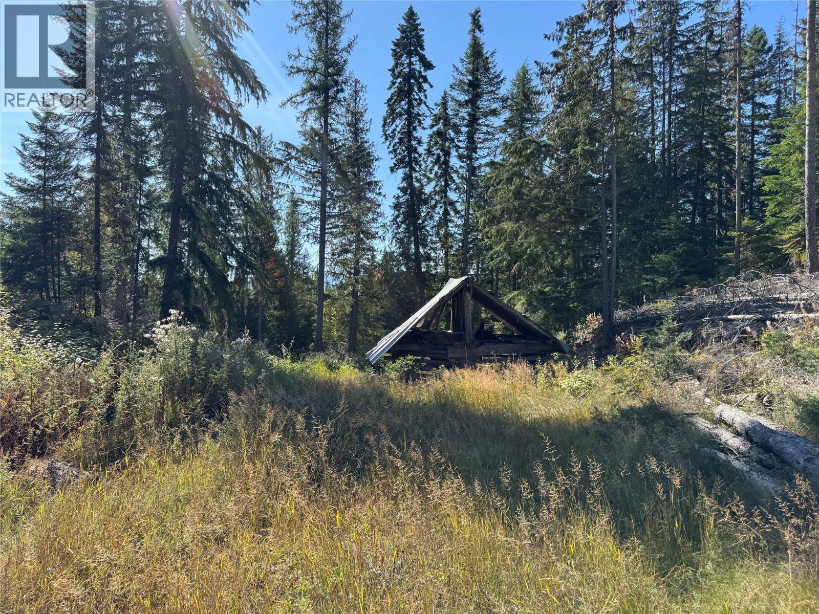 Dl 12547 Loon Lake Road, Ainsworth, British Columbia V0G 1A0 - Photo 10 - 10401560