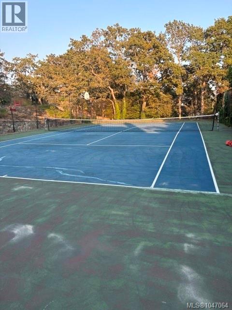 What fun is in store for an active homeowner!