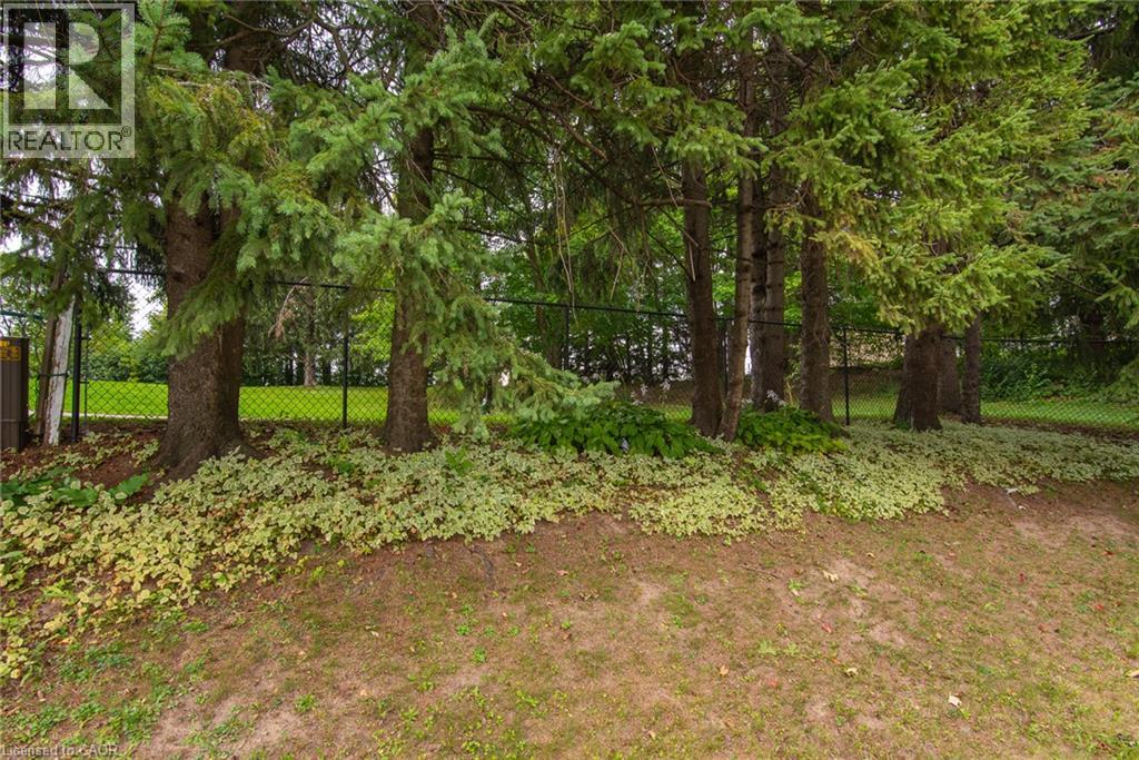 218 Pinedale Drive, Kitchener, Ontario  N2E 1K3 - Photo 14 - 40863844