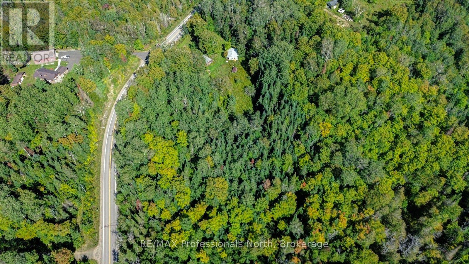 4388 Loop Road, Highlands East (Cardiff Ward), Ontario  K0L 2A0 - Photo 17 - X13820134