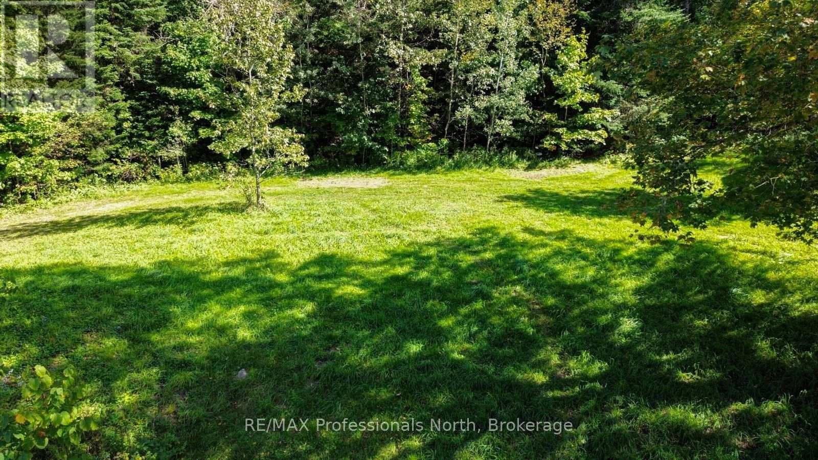 4388 Loop Road, Highlands East (Cardiff Ward), Ontario  K0L 2A0 - Photo 5 - X13820134
