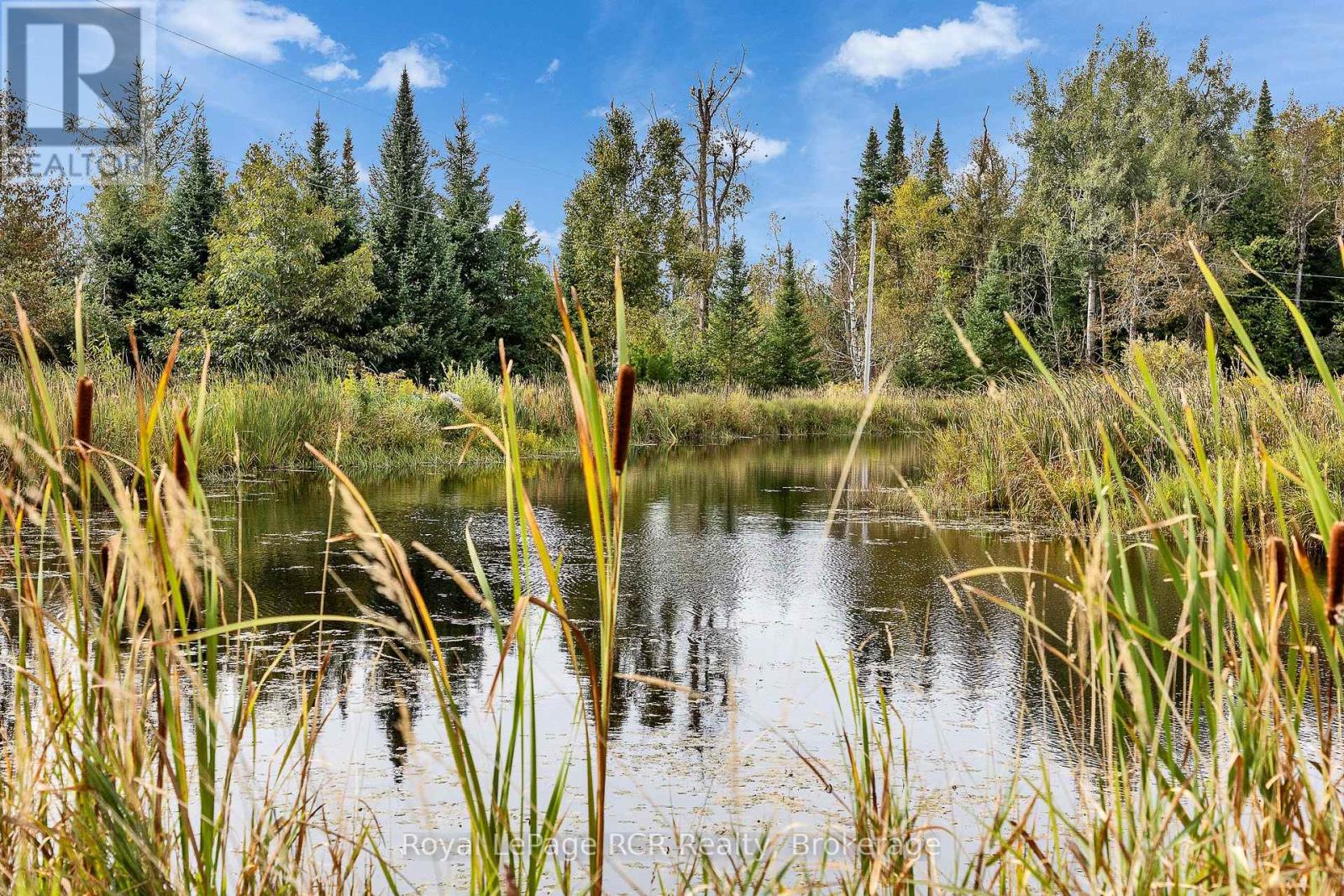 397061 5th Line, Melancthon, Ontario  L9V 1R2 - Photo 44 - X13820248