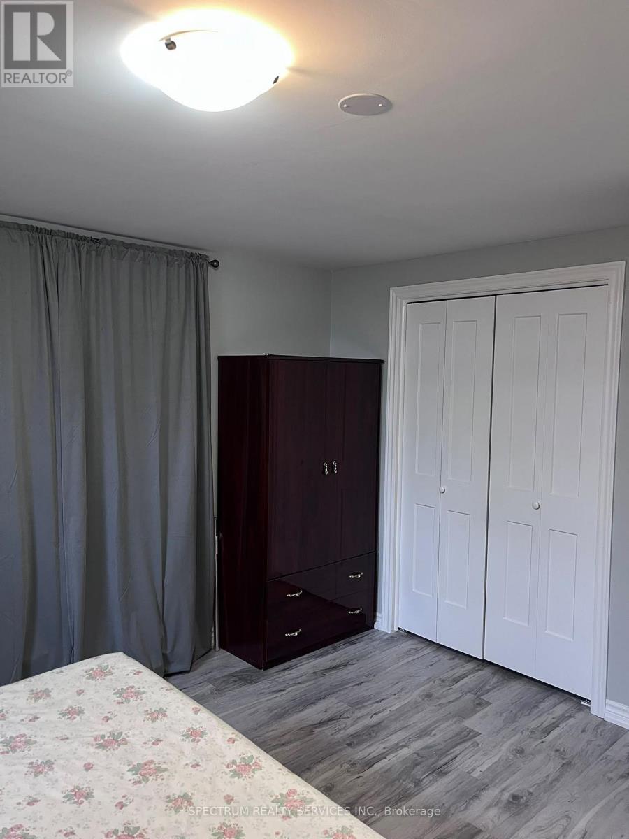 Basement - 84 Blue Mountain Drive, Hamilton, Ontario  L0R 1P0 - Photo 12 - X13820202