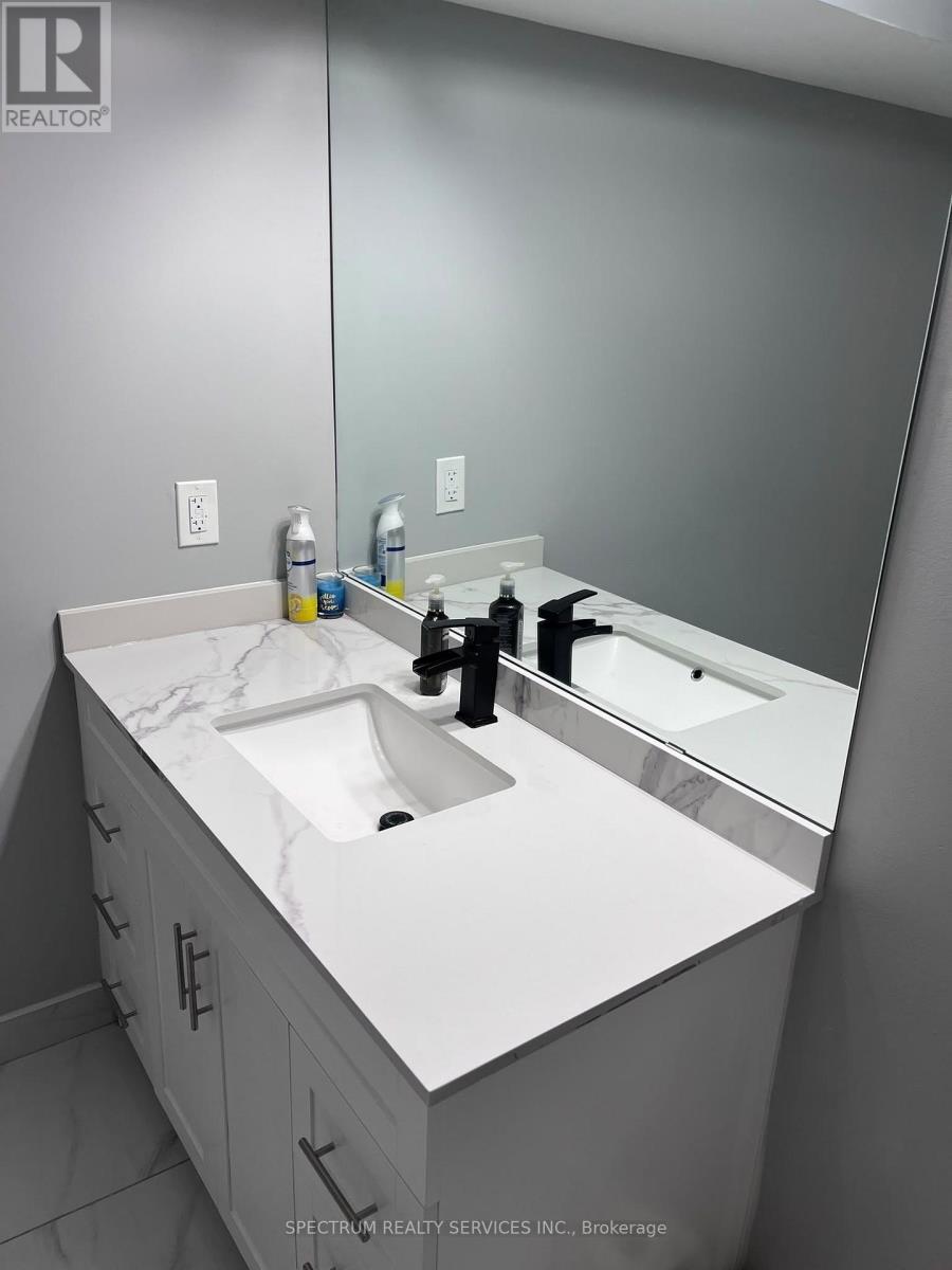 Basement - 84 Blue Mountain Drive, Hamilton, Ontario  L0R 1P0 - Photo 16 - X13820202