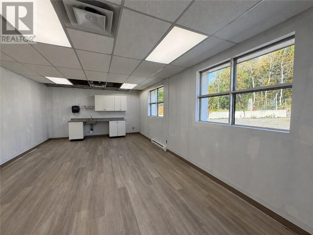 360 Mountain Street, Sudbury, Ontario  P3B 2T7 - Photo 12 - 2130269