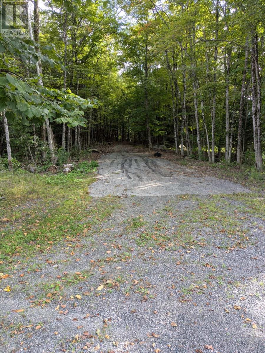 12170 Highway 35, Minden Hills, Ontario  K0M 2K0 - Photo 21 - X13749346