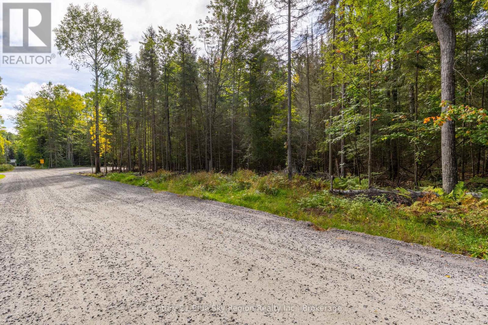 Pt 1 Lt 19 Ninovan Road, Callander, Ontario  P0H 1H0 - Photo 3 - X13820456