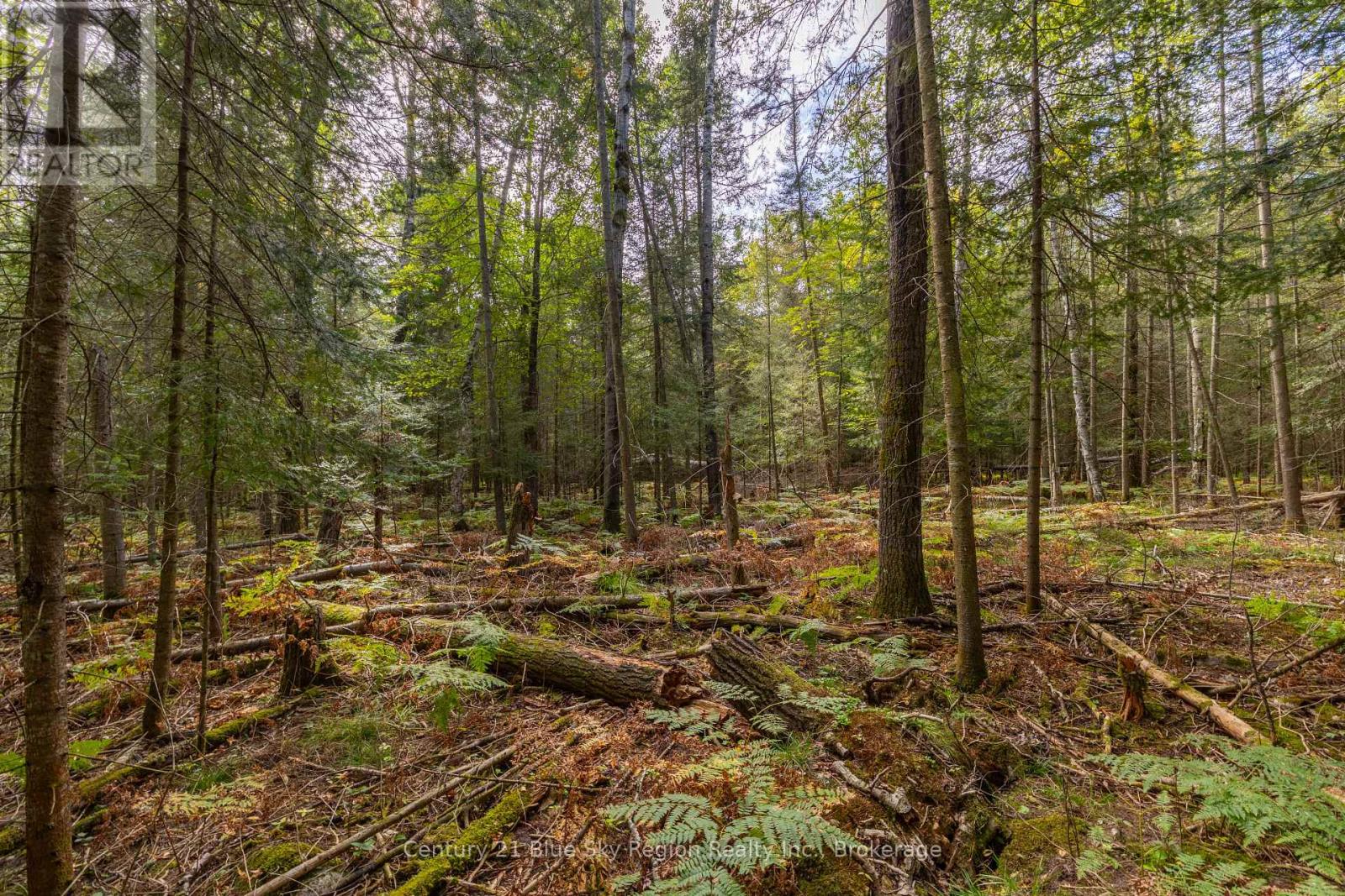 Pt 1 Lt 19 Ninovan Road, Callander, Ontario  P0H 1H0 - Photo 4 - X13820456
