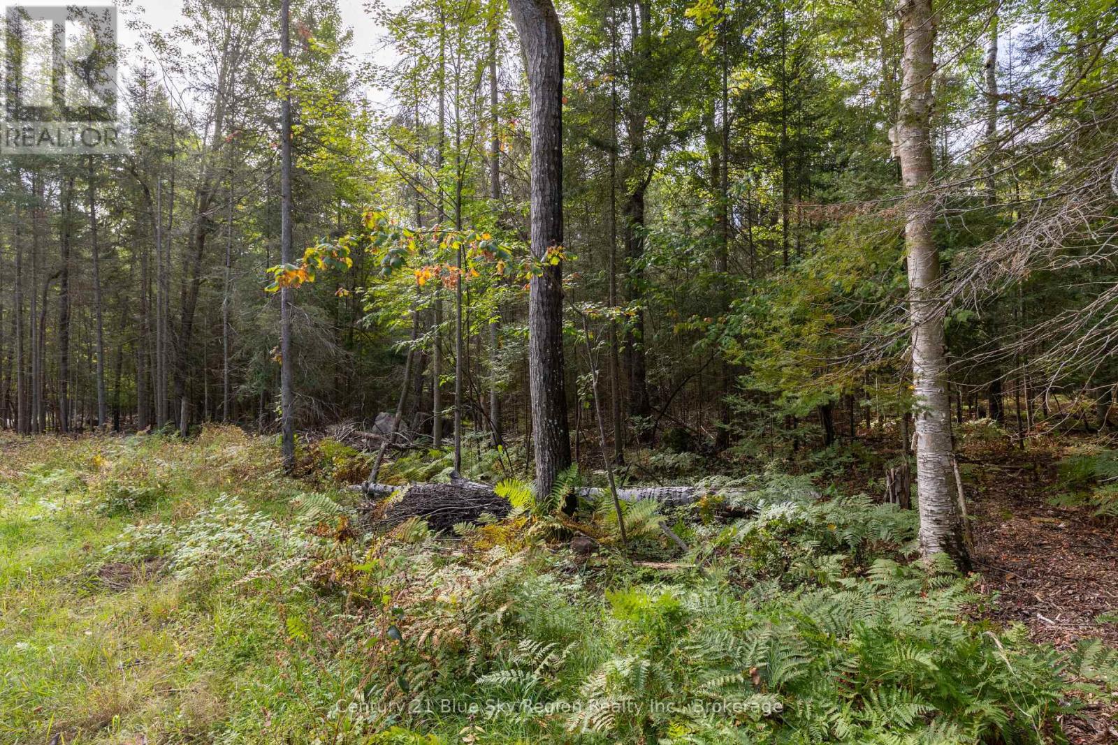 Pt 1 Lt 19 Ninovan Road, Callander, Ontario  P0H 1H0 - Photo 5 - X13820456