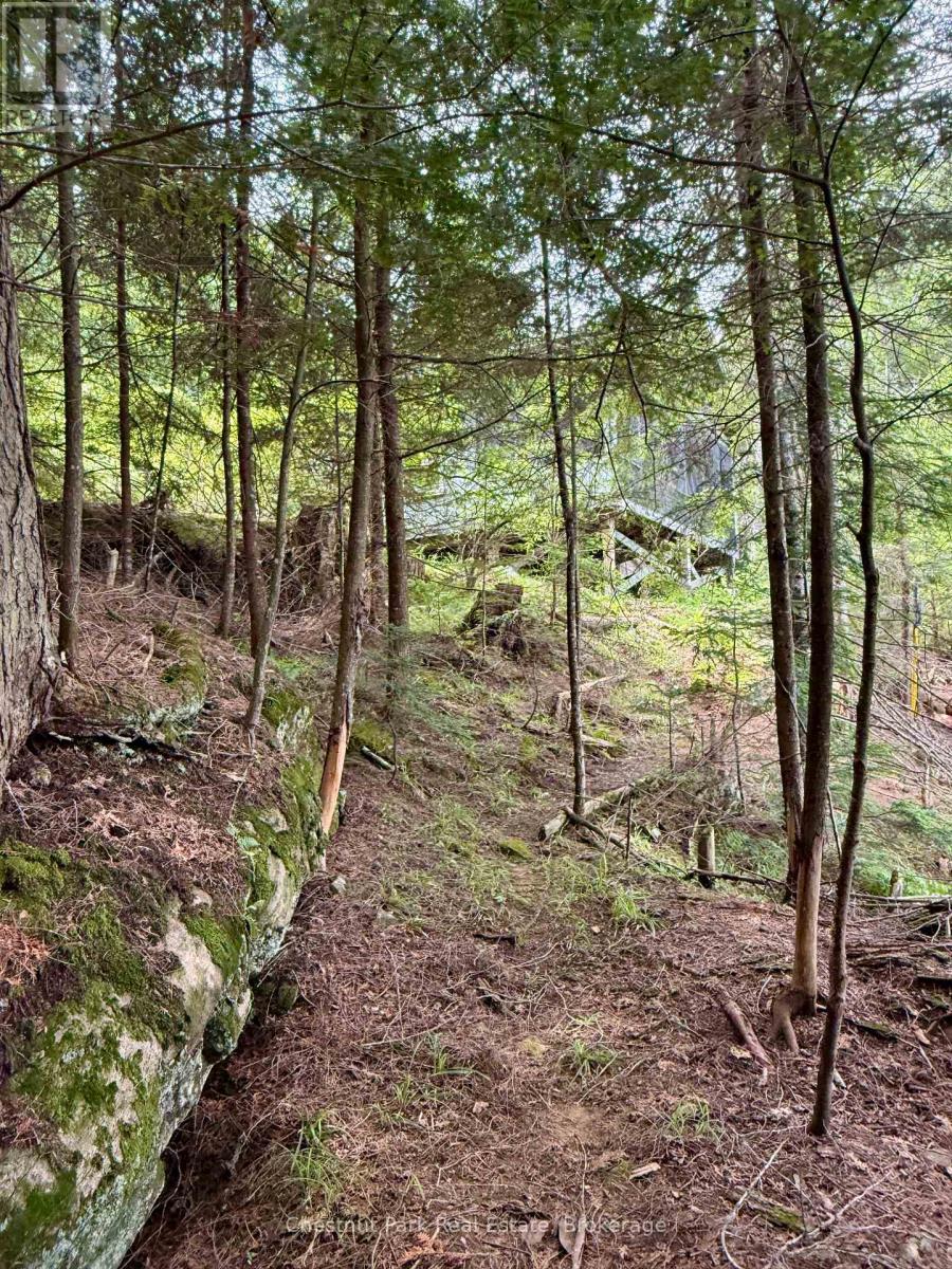 50 Cache Lake Apl1322, South Algonquin, Ontario  P0A 1H0 - Photo 35 - X13619056