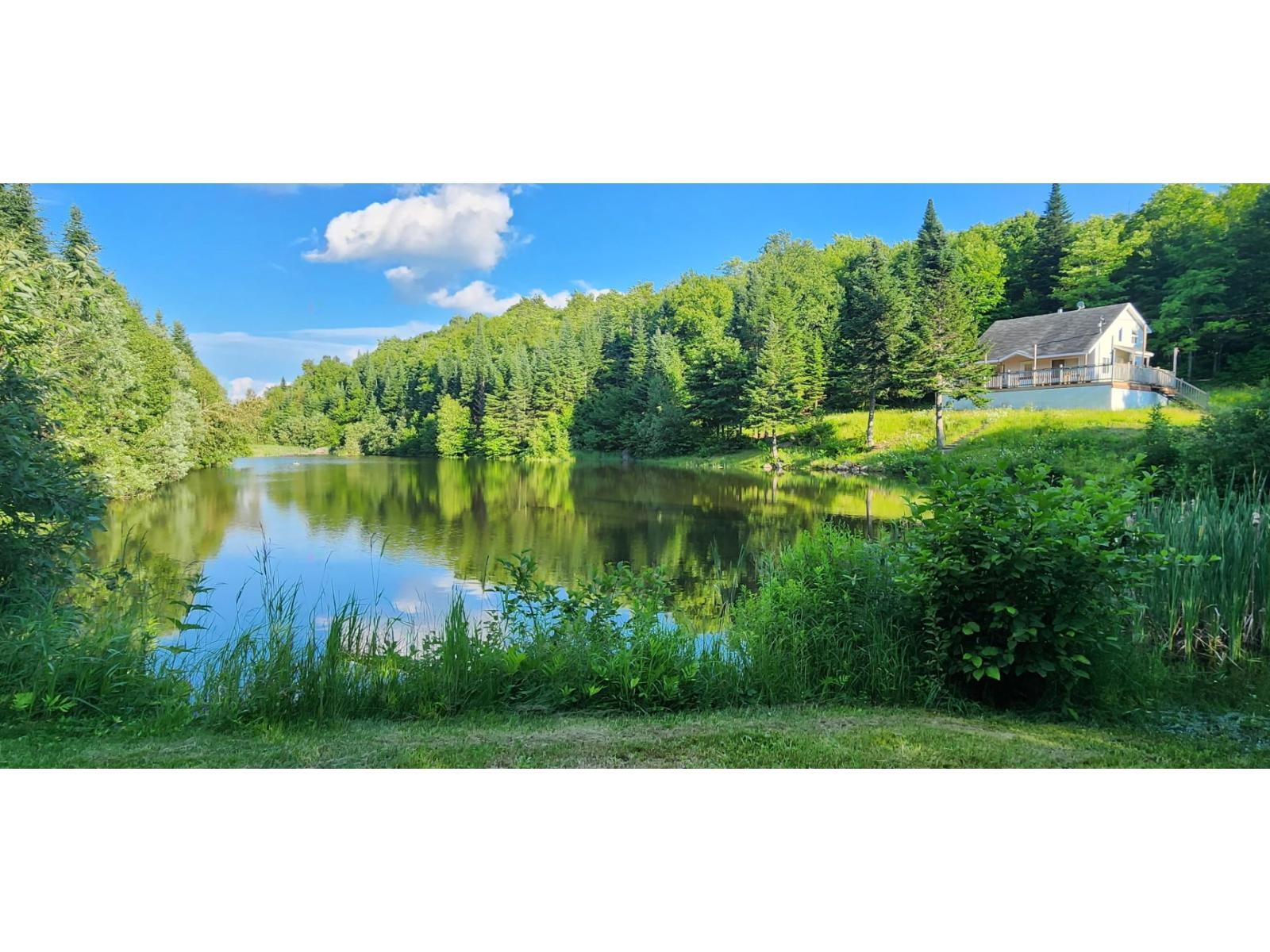 22 Ch. Benoit N. Notre-Dame-des-Bois Quebec Canada J0B2E0 3