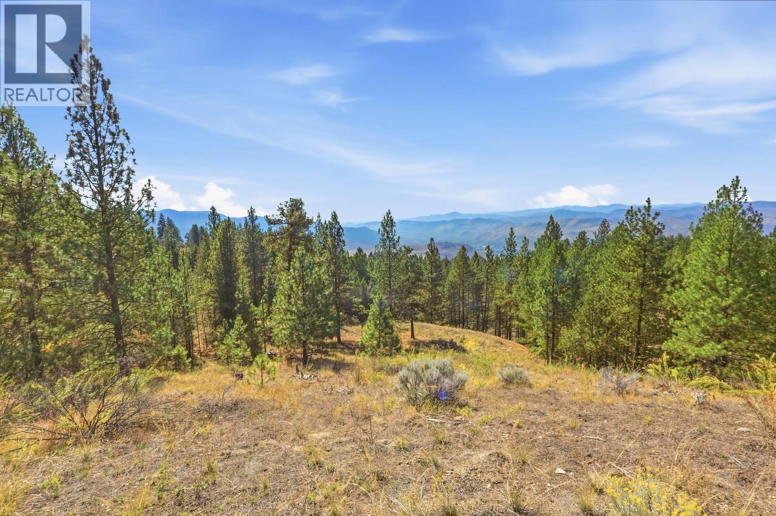 12 Mule Deer Point, Osoyoos, British Columbia  V0H 1V6 - Photo 13 - 10401587