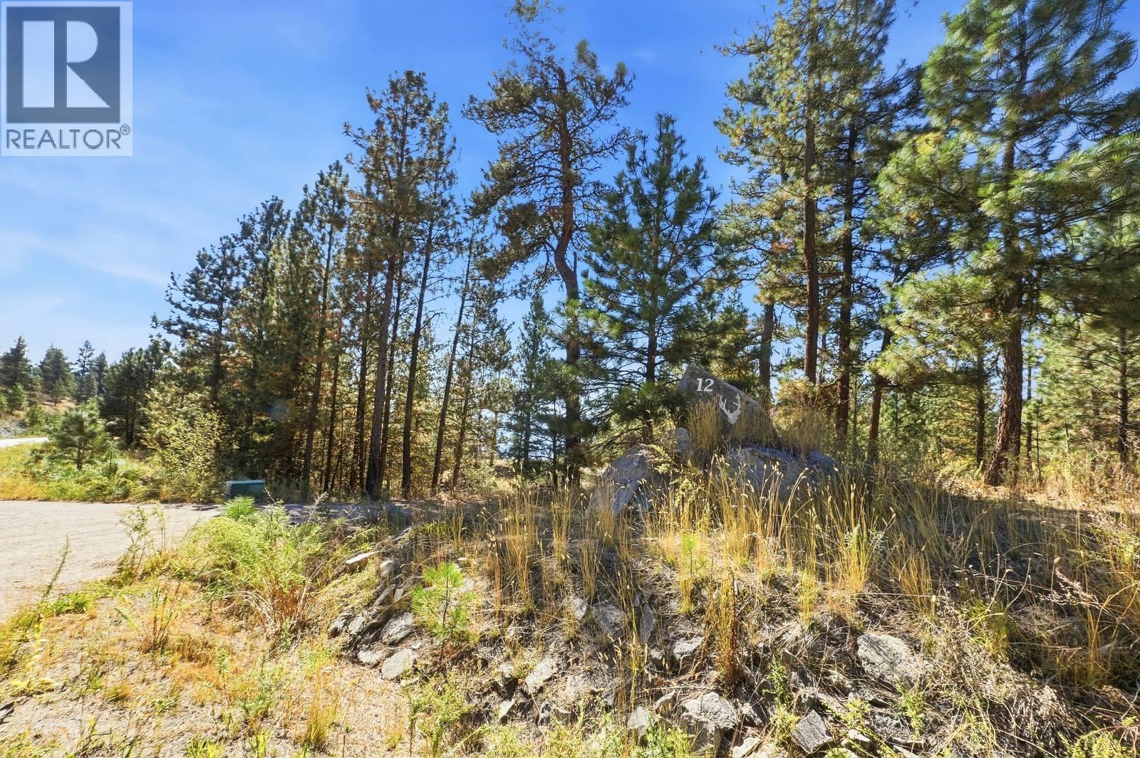 12 Mule Deer Point, Osoyoos, British Columbia  V0H 1V6 - Photo 19 - 10401587