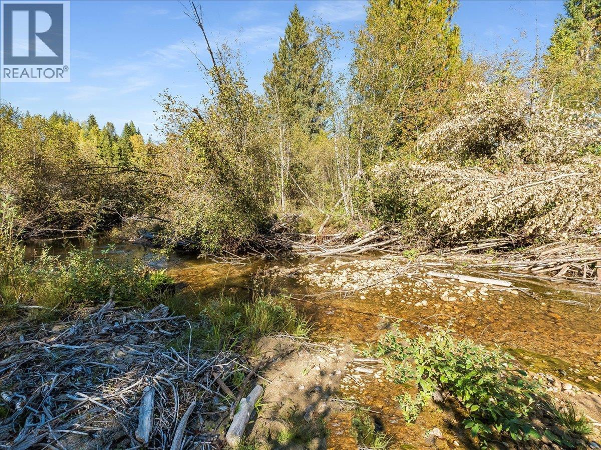 3168 Pass Creek Road, Crescent Valley, British Columbia V0G 1H0 - Photo 59 - 10401618