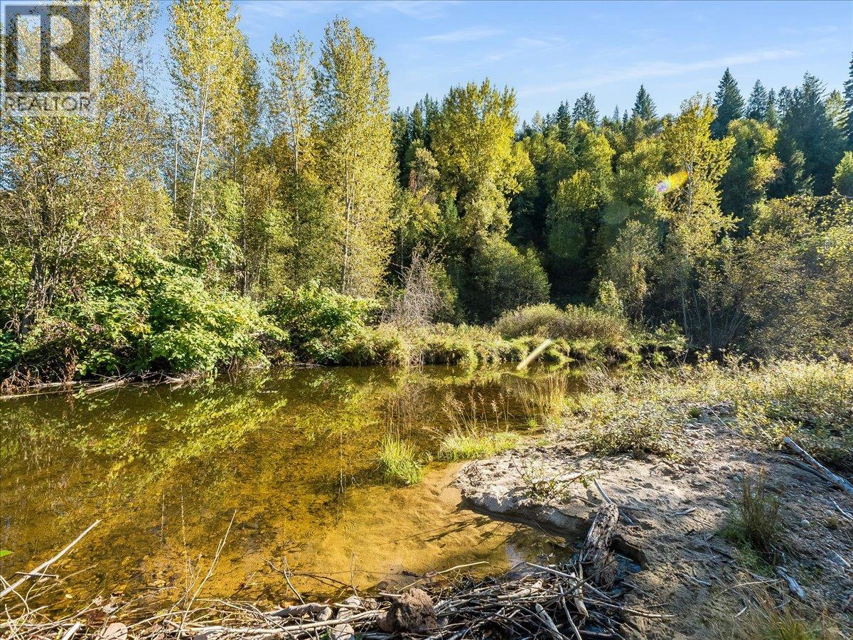 3168 Pass Creek Road, Crescent Valley, British Columbia V0G 1H0 - Photo 60 - 10401618
