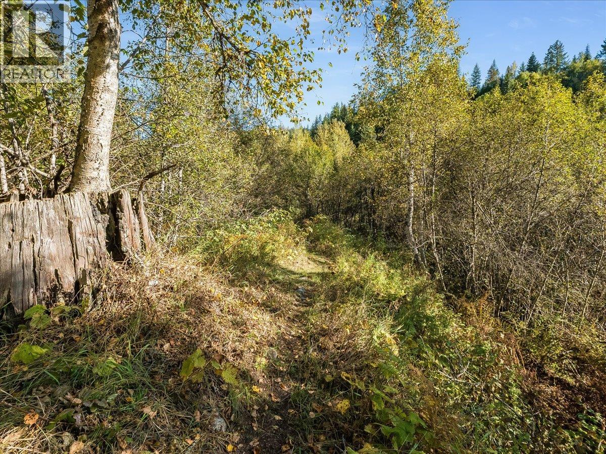 3168 Pass Creek Road, Crescent Valley, British Columbia V0G 1H0 - Photo 65 - 10401618