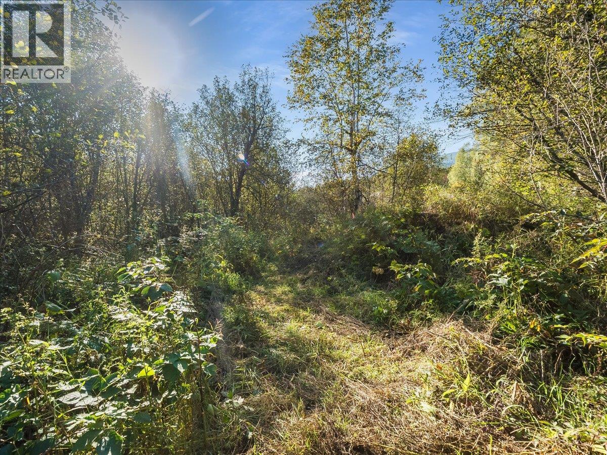 3168 Pass Creek Road, Crescent Valley, British Columbia V0G 1H0 - Photo 64 - 10401618