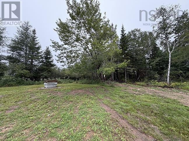9220 Pepperell Street, St. Peter's, Nova Scotia  B0E 3B0 - Photo 5 - 202624170